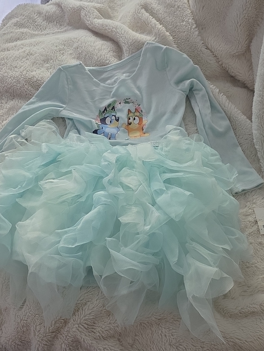 H&M Bluey And Bingo  Light Aqua Ruffle Tutu Dress with Cartoon Front Characters